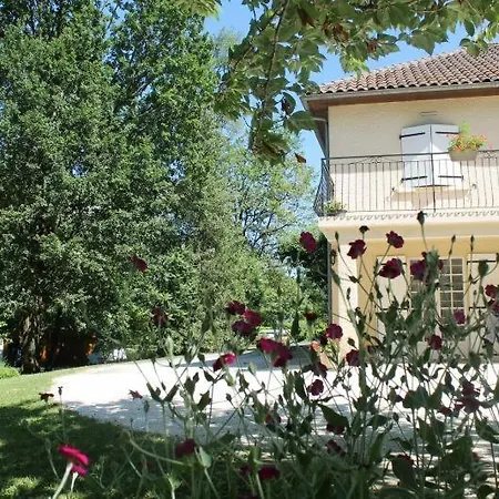 L'abeille Proche De Sarlat