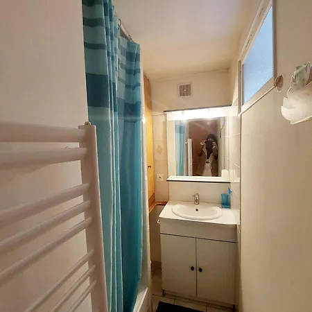 L'abeille Proche De Sarlat